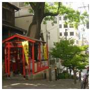 安堂寺御神木